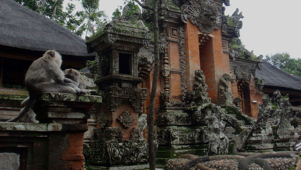 The Sacred Monkey Forest of Bali