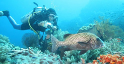 Nusa Lembongan Bali